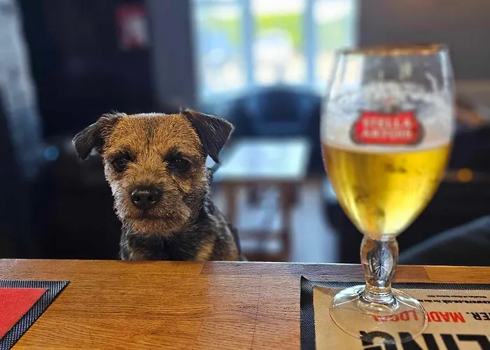 The Barrow Pub 2023 Ltd